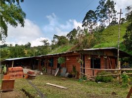 4 Habitación Casa en venta en Santa Rosa De Cabal, Risaralda, Santa Rosa De Cabal