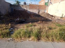 Terrain à vendre à Irapuato, Guanajuato, Irapuato