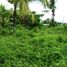  Land for sale in Selemadeg, Tabanan, Selemadeg