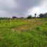  Land for sale in Dramaga, Bogor, Dramaga