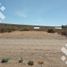  Land for sale in Confluencia, Neuquen, Confluencia