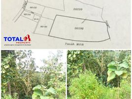  Land for sale in Selemadeg, Tabanan, Selemadeg