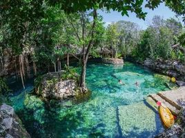 Terrain à vendre à Puerto Morelos, Quintana Roo, Puerto Morelos