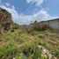  Terreno (Parcela) en venta en San Cristobal De Las Casas, Chiapas, San Cristobal De Las Casas
