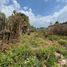 Terreno (Parcela) en venta en San Cristobal De Las Casas, Chiapas, San Cristobal De Las Casas