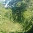  Land for sale in Champoton, Campeche, Champoton
