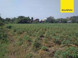  Land for sale in Mojokerto, East Jawa, Puri, Mojokerto