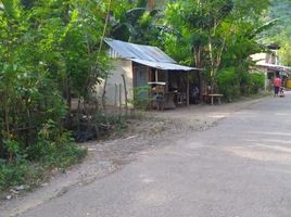  Grundstück zu verkaufen in Lombok Barat, West Nusa Tenggara, Gunung Sari