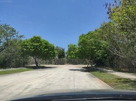  Grundstück zu verkaufen in Conkal, Yucatan, Conkal