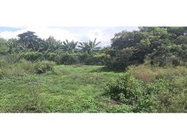  Terreno (Parcela) en venta en Cali, Valle Del Cauca, Cali