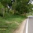  Land for sale in Yogyakarta, Tepus, Gunung Kidul, Yogyakarta