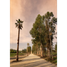  Land for sale in Las Cabras, Cachapoal, Las Cabras