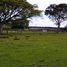  Land for sale in Barra Do Quarai Rio Grande do Sul, Barra Do Quarai, Barra Do Quarai, Rio Grande do Sul, Brazil