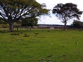  Terreno for sale in Barra do Quaraí, Rio Grande do Sul, Barra do Quaraí, Barra do Quaraí