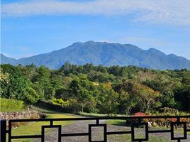 3 Schlafzimmer Villa zu verkaufen in Dolega, Chiriqui, Potrerillos