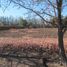  Land for sale in Chile, Santiago, Santiago, Santiago, Chile