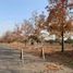  Land for sale in Chile, Santiago, Santiago, Santiago, Chile
