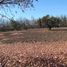  Land for sale in Chile, Santiago, Santiago, Santiago, Chile