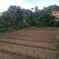  Land for sale in Purwakarta, West Jawa, Purwakarta, Purwakarta