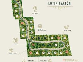  Land for sale in Cozumel, Quintana Roo, Cozumel