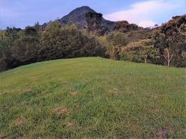  Land for sale in La Ceja, Antioquia, La Ceja