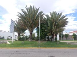 3 Habitación Casa en alquiler en Jesus Maria, Aguascalientes, Jesus Maria, Aguascalientes