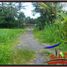  Land for sale in Ubud, Bali, Ubud, Gianyar