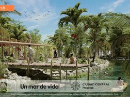 Terrain à vendre à Progreso, Yucatan, Progreso