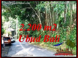  Land for sale in Ubud, Gianyar, Ubud