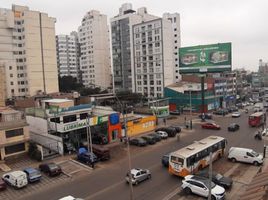 340 m² Office for rent in Lima, Surquillo, Lima, Lima