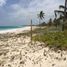 Terrain à vendre à Othon P Blanco, Quintana Roo, Othon P Blanco