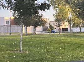  Grundstück zu verkaufen in Torreon, Coahuila, Torreon