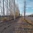 Studio House for sale in Tunuyan, Mendoza, Tunuyan