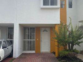 2 Bedroom House for rent in Guadalajara, Jalisco, Guadalajara