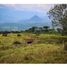  Land for sale in Tamesis, Antioquia, Tamesis