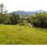  Terrain for sale in Tamesis, Antioquia, Tamesis