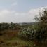  Land for sale in Chapantongo, Hidalgo, Chapantongo