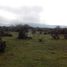  Land for sale in Chapantongo, Hidalgo, Chapantongo