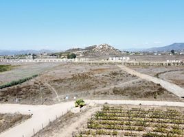  Grundstück zu verkaufen in Ensenada, Baja California, Ensenada, Baja California