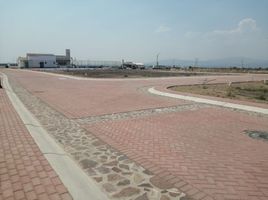 Grundstück zu verkaufen in Apaseo El Grande, Guanajuato, Apaseo El Grande