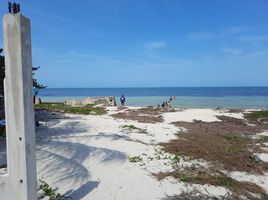  Land for sale in Sinanche, Yucatan, Sinanche