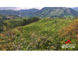 Estudio Casa en venta en Colombia, Santa Rosa De Cabal, Risaralda, Colombia