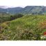 Studio Villa for sale in Santa Rosa De Cabal, Risaralda, Santa Rosa De Cabal, Risaralda