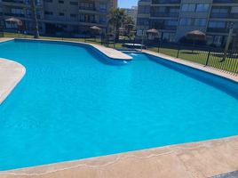 코 퀴보PropertyTypeNameBedroom, Coquimbo, 엘키, 코 퀴보