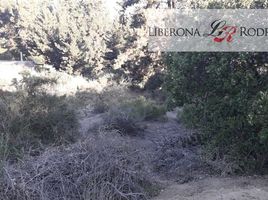  Terreno (Parcela) en venta en Chile, Viña del Mar, Valparaíso, Valparaíso, Chile