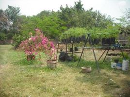  Terreno (Parcela) en venta en Huitzilac, Morelos, Huitzilac