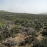  Land for sale in Coquimbo, Los Vilos, Choapa, Coquimbo