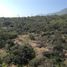  Land for sale in Coquimbo, Los Vilos, Choapa, Coquimbo