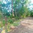  Land for sale in Bayat, Klaten, Bayat