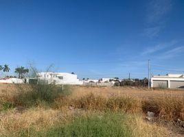 在Isabela, Galapagos出售的 土地, Tomas De Berlanga Santo Tomas, Isabela